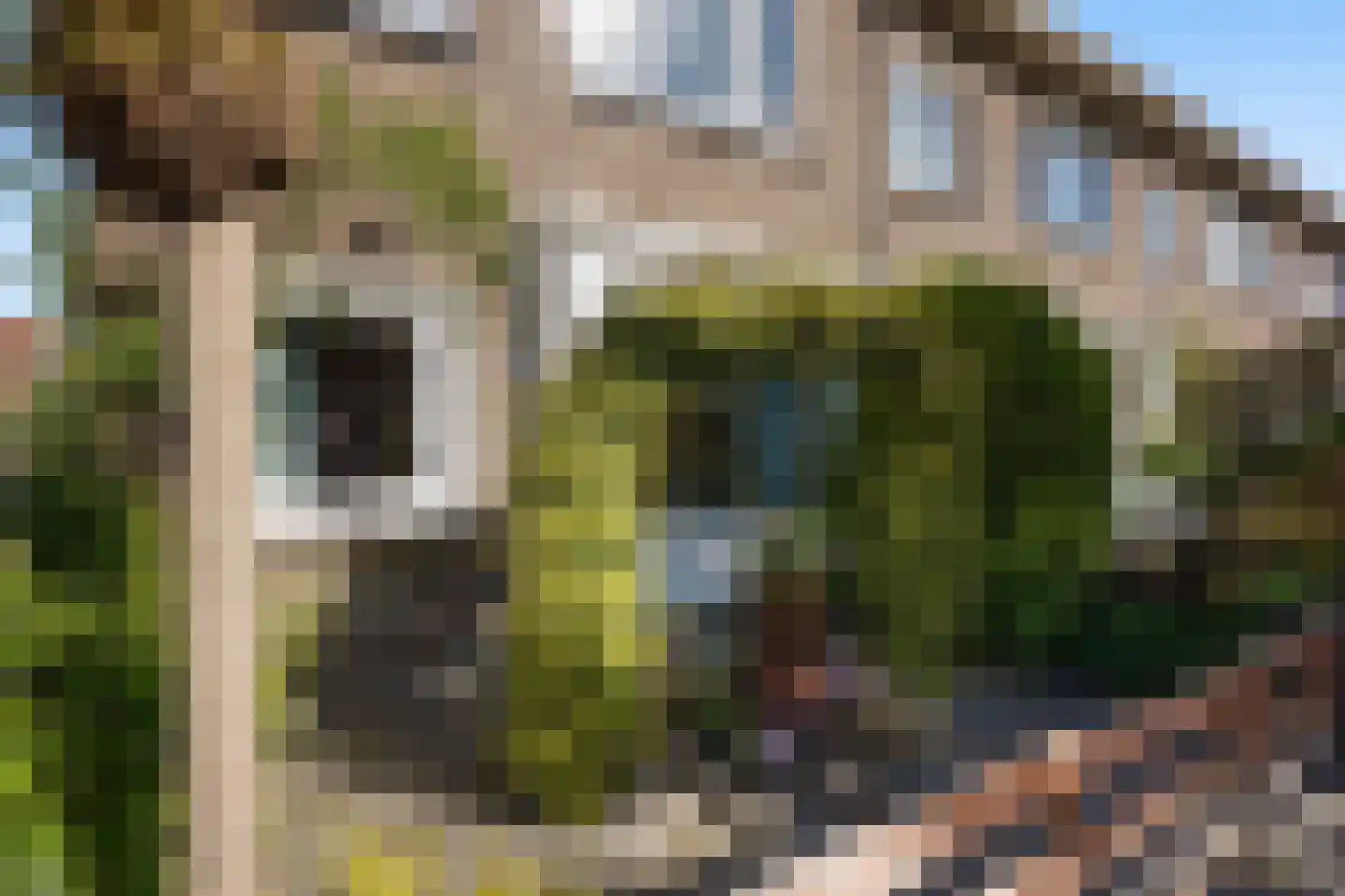 Polsbroekstraat 80 Den Haag thumbnail 7