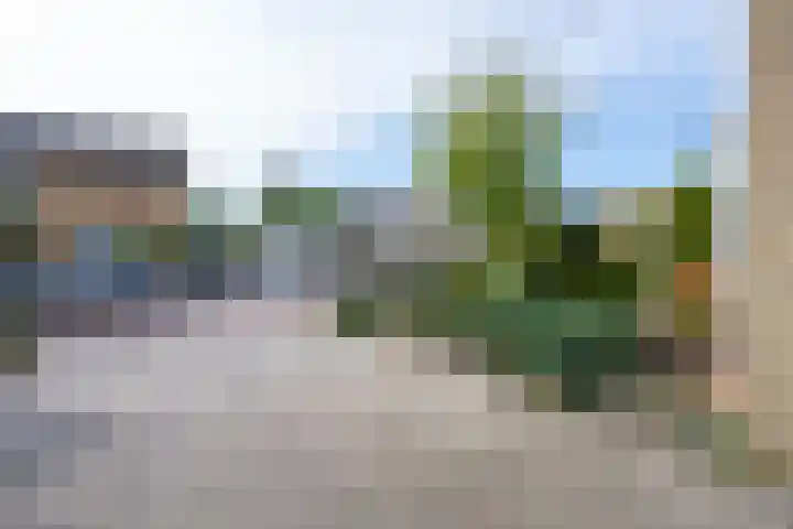 Polselaan 10 Veenendaal thumbnail 102