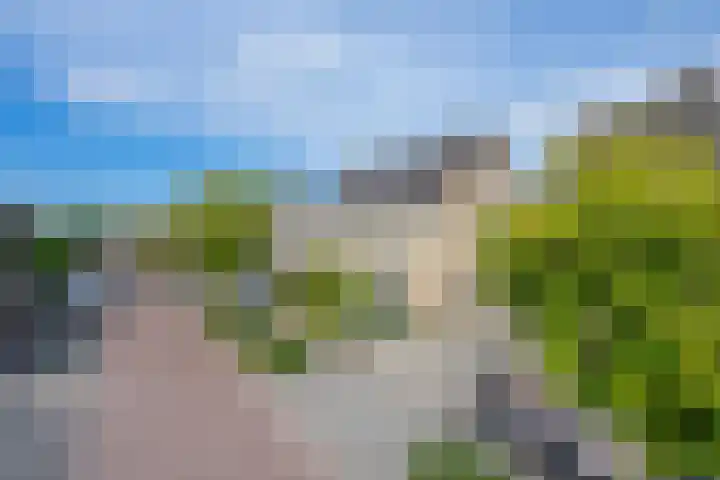 Polselaan 10 Veenendaal thumbnail 103