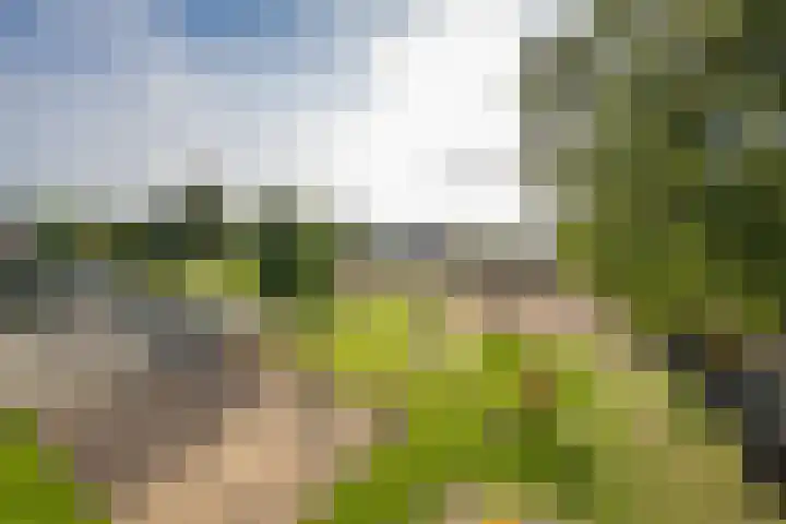 Polselaan 10 Veenendaal thumbnail 106