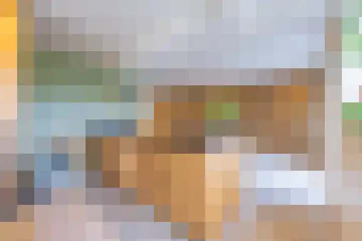 Polselaan 10 Veenendaal thumbnail 36