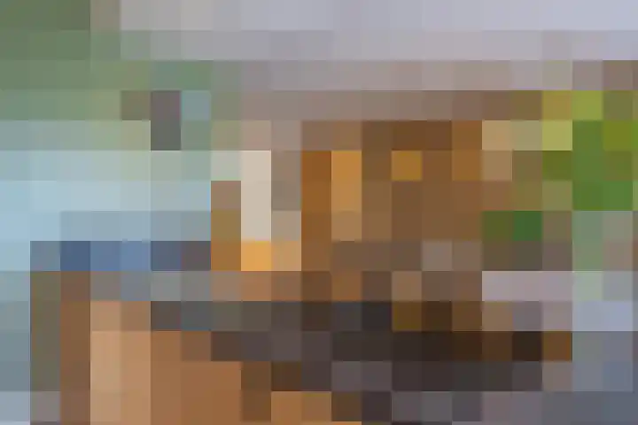 Polselaan 10 Veenendaal thumbnail 37