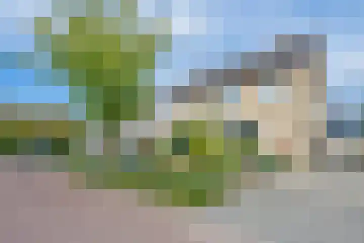 Polselaan 10 Veenendaal thumbnail 5