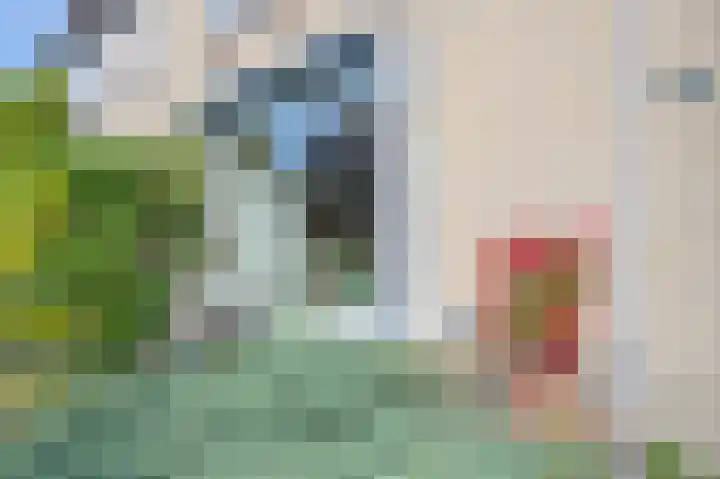 Polselaan 10 Veenendaal thumbnail 6