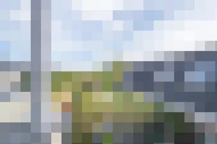Polselaan 10 Veenendaal thumbnail 73