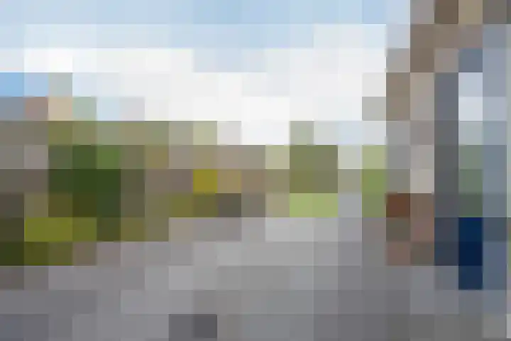 Polselaan 10 Veenendaal thumbnail 77