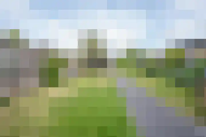 Polselaan 10 Veenendaal thumbnail 78