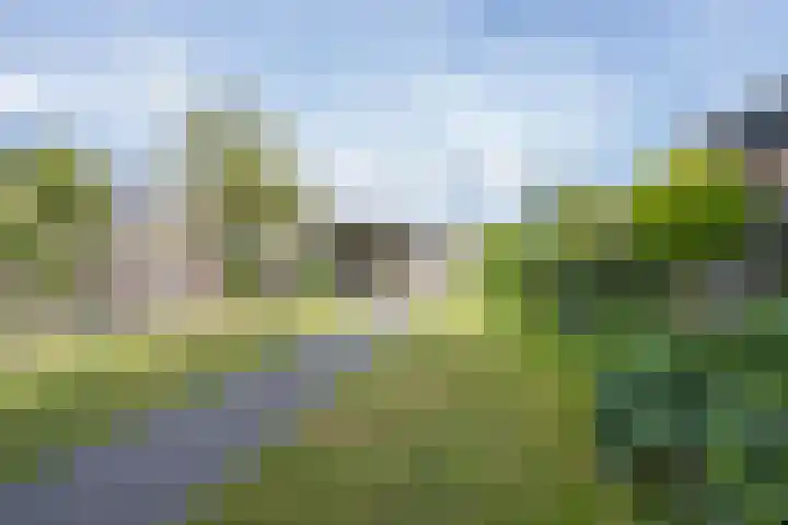 Polselaan 10 Veenendaal thumbnail 79