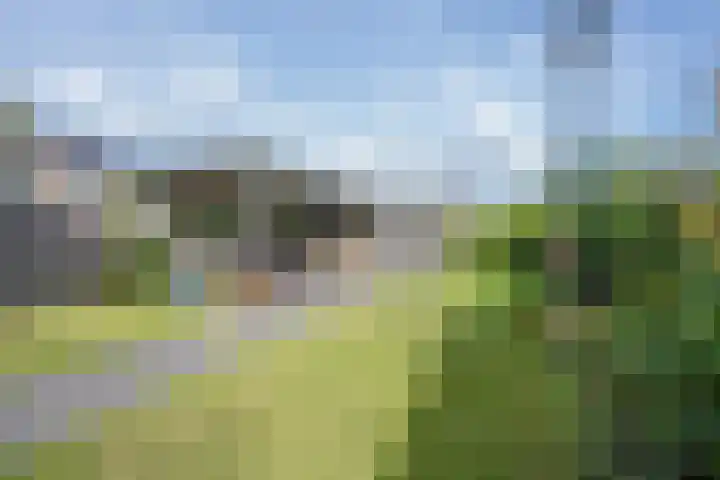Polselaan 10 Veenendaal thumbnail 80