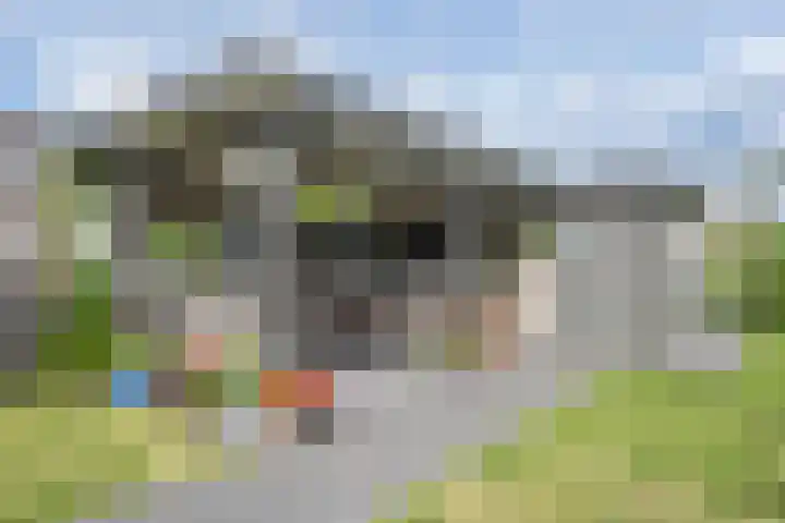 Polselaan 10 Veenendaal thumbnail 81