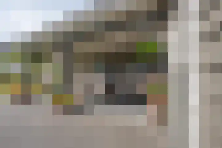 Polselaan 10 Veenendaal thumbnail 82