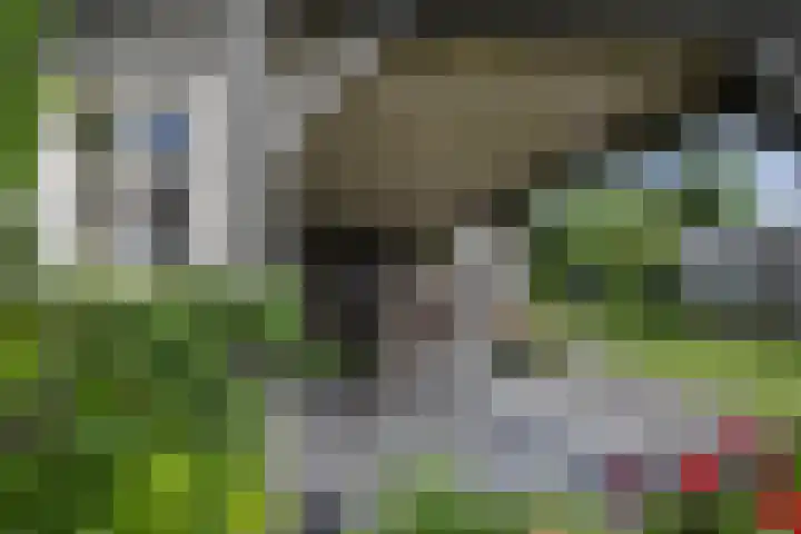 Polselaan 10 Veenendaal thumbnail 83