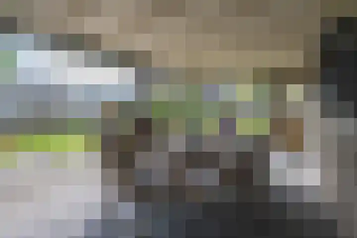Polselaan 10 Veenendaal thumbnail 84