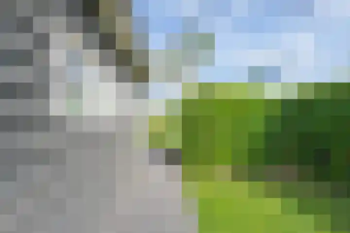 Polselaan 10 Veenendaal thumbnail 87