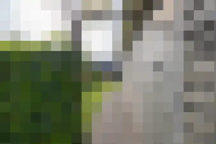 Polselaan 10 Veenendaal thumbnail 88