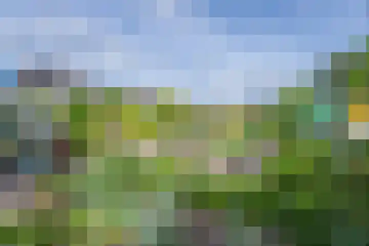 Polselaan 10 Veenendaal thumbnail 89