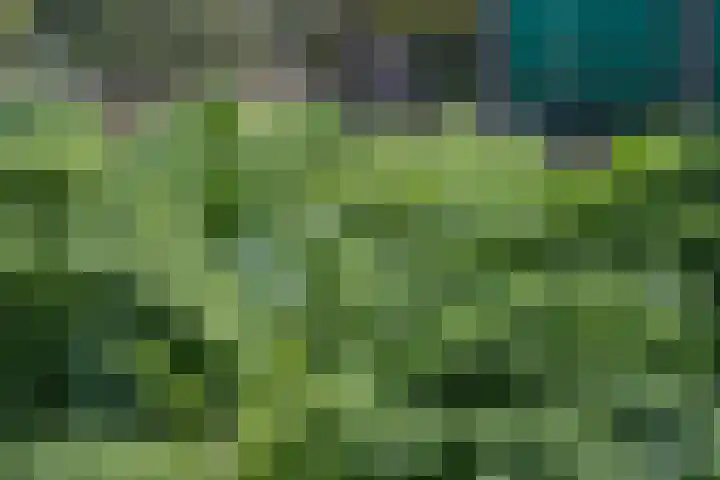 Polselaan 10 Veenendaal thumbnail 90