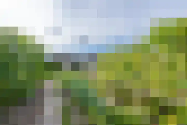 Polselaan 10 Veenendaal thumbnail 91