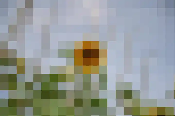 Polselaan 10 Veenendaal thumbnail 92