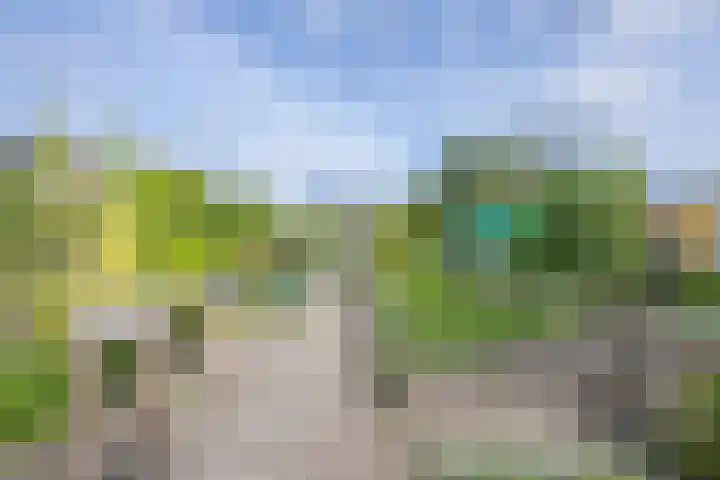 Polselaan 10 Veenendaal thumbnail 93