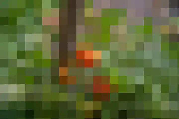 Polselaan 10 Veenendaal thumbnail 94