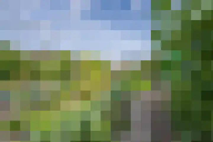Polselaan 10 Veenendaal thumbnail 95