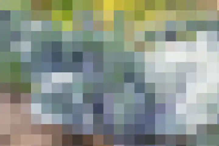 Polselaan 10 Veenendaal thumbnail 96