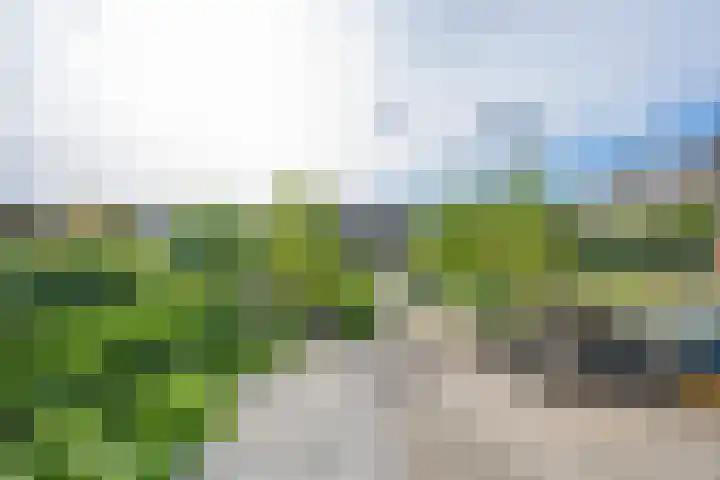 Polselaan 10 Veenendaal thumbnail 97