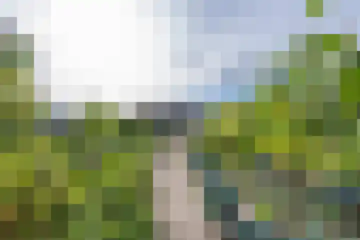 Polselaan 10 Veenendaal thumbnail 98