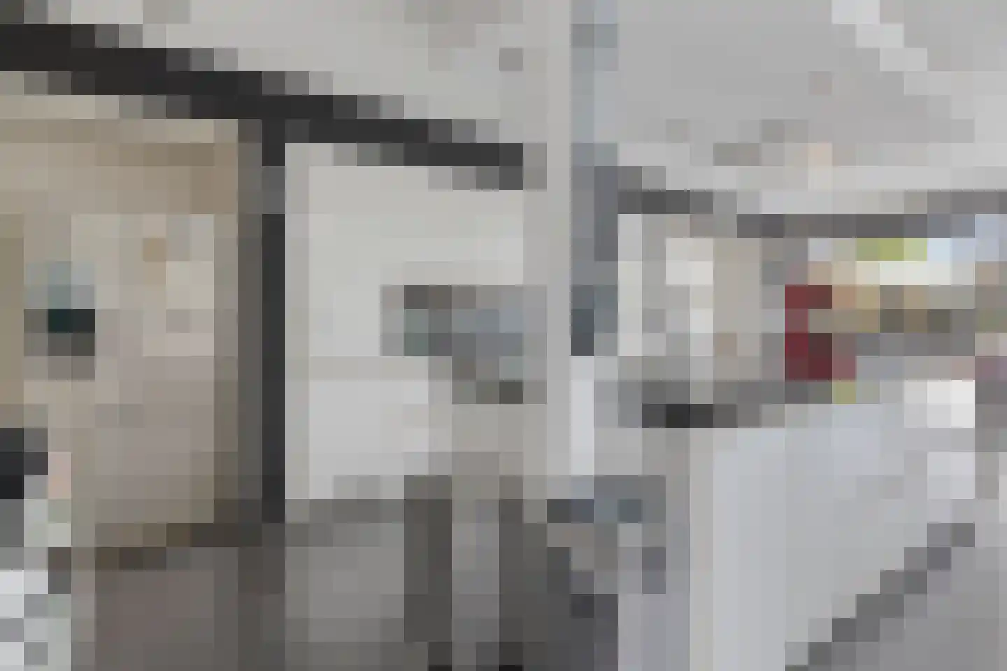 Polselaan 12 Veenendaal thumbnail 23