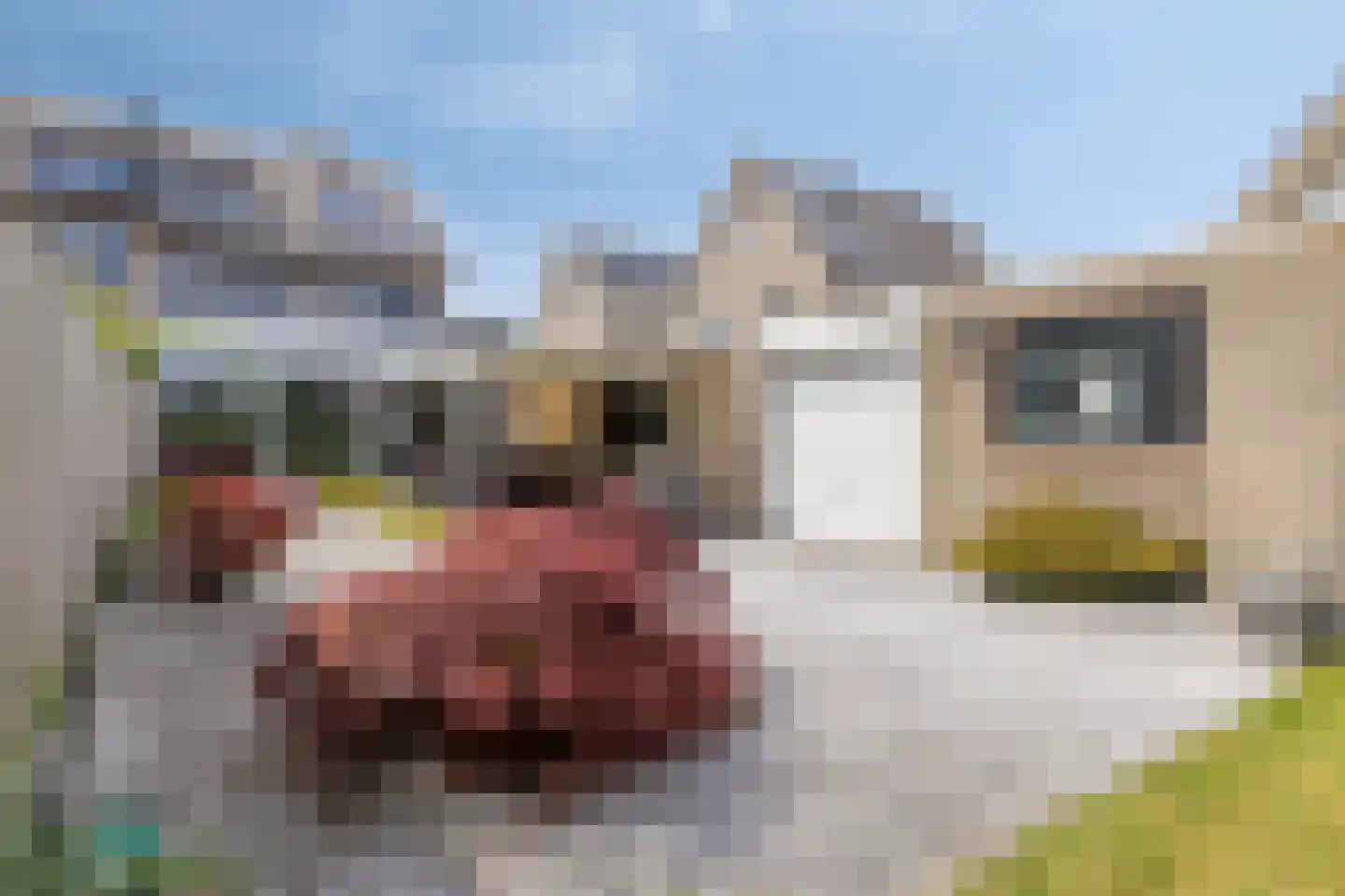 Polselaan 12 Veenendaal thumbnail 42