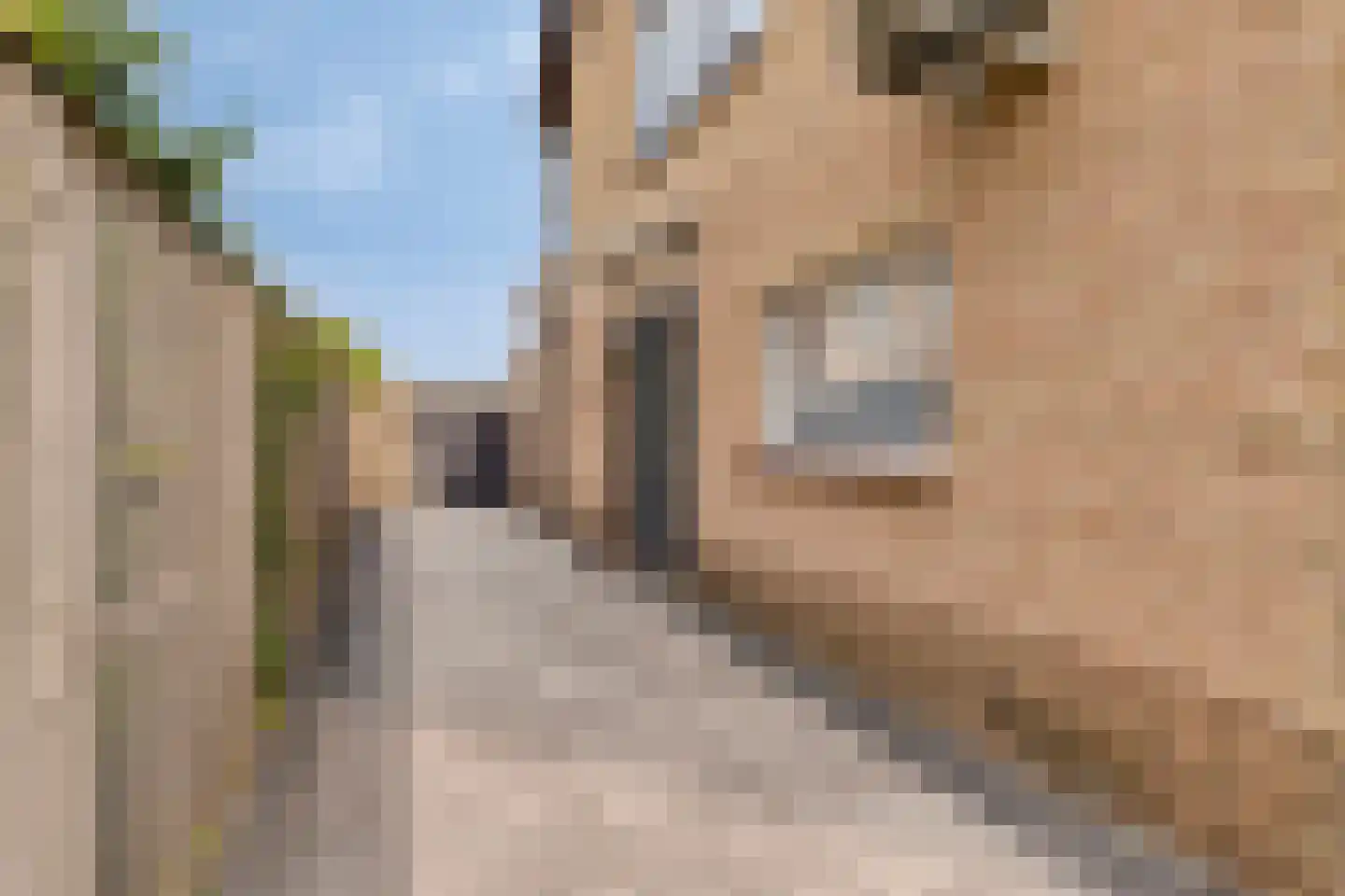 Polselaan 12 Veenendaal thumbnail 8