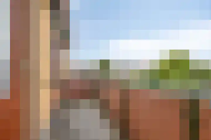 Polselaan 7 Veenendaal thumbnail 19