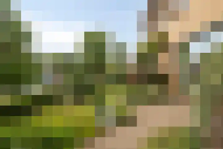 Polselaan 7 Veenendaal thumbnail 25