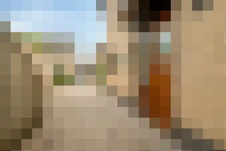 Polselaan 7 Veenendaal thumbnail 26