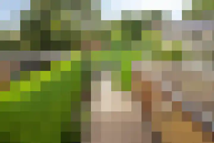 Polselaan 7 Veenendaal thumbnail 27