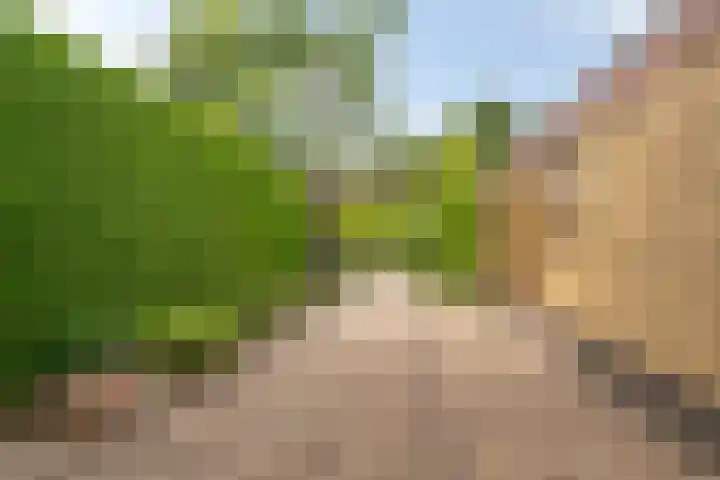 Polselaan 7 Veenendaal thumbnail 28