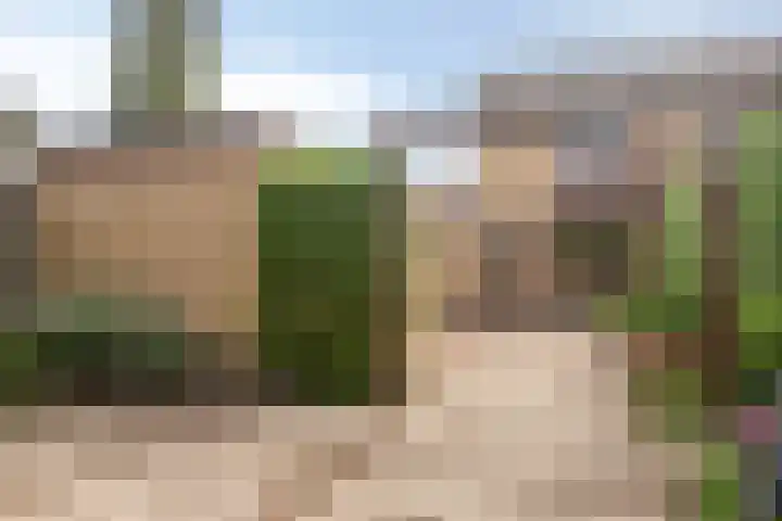 Polselaan 7 Veenendaal thumbnail 29