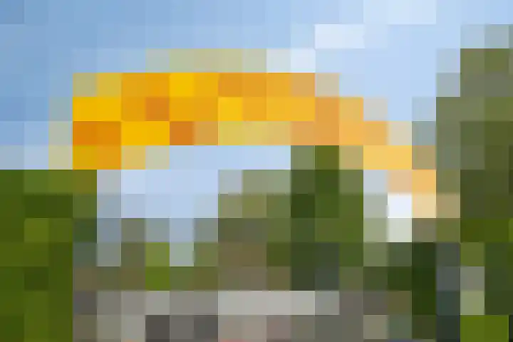 Polselaan 7 Veenendaal thumbnail 30