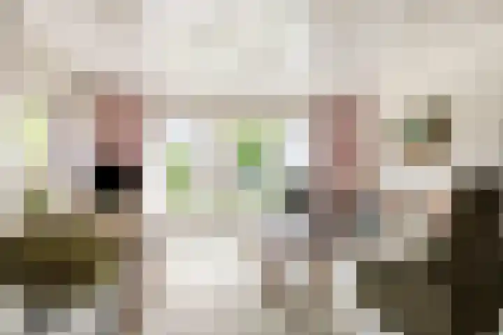 Polselaan 7 Veenendaal thumbnail 6
