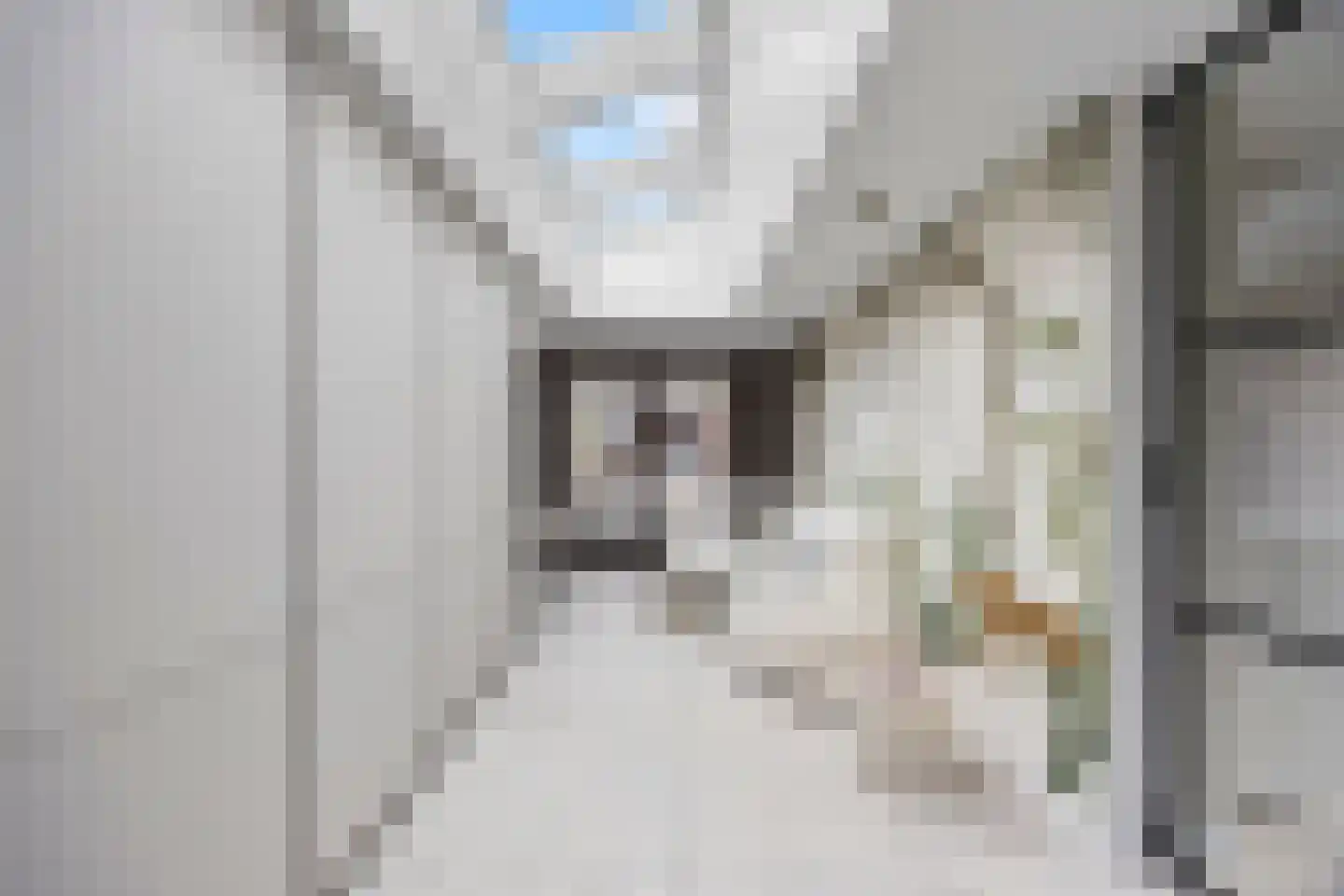 Polseweg 14 Huissen thumbnail 14