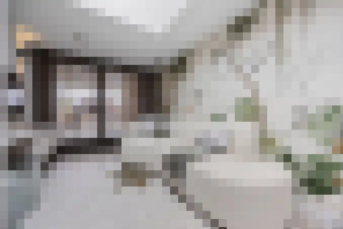 Polseweg 14 Huissen thumbnail 15