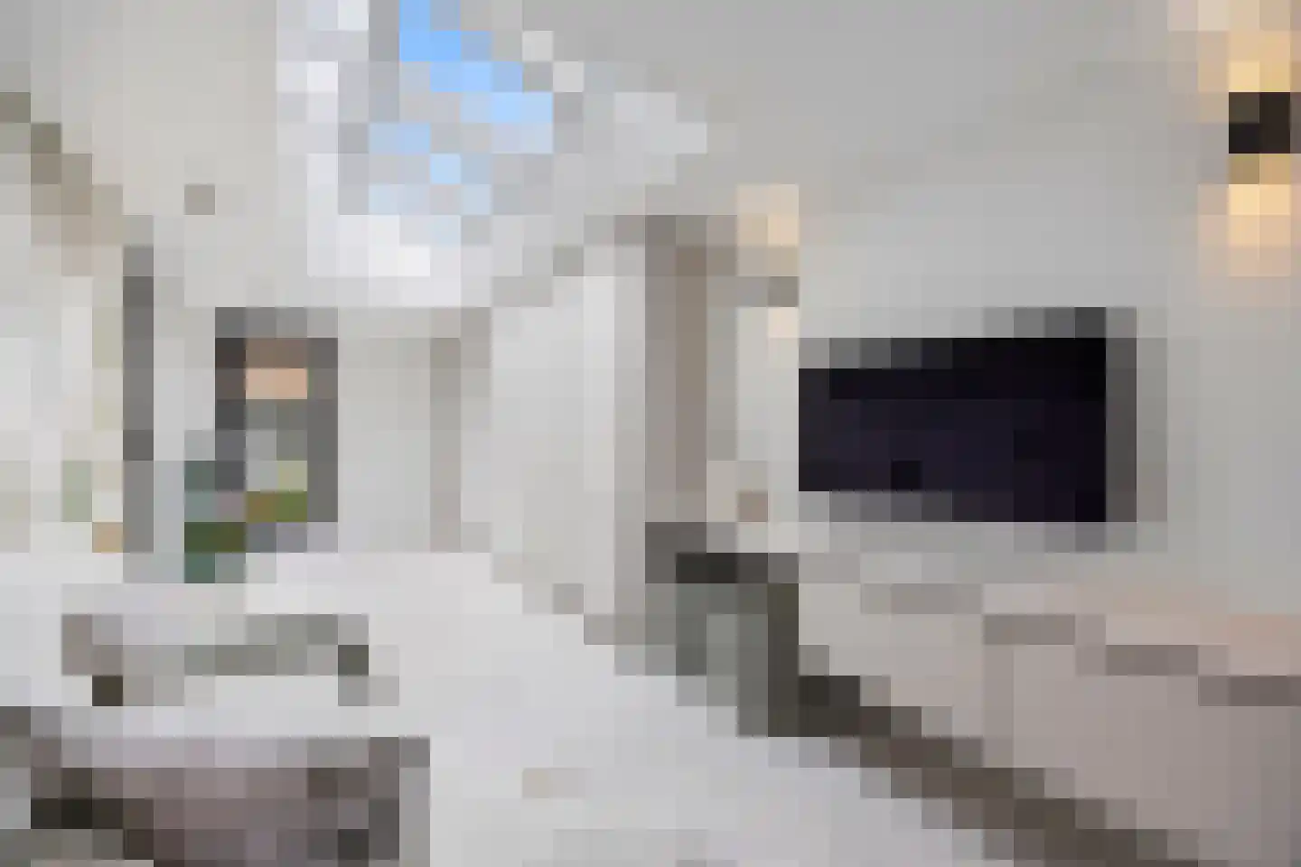 Polseweg 14 Huissen thumbnail 16