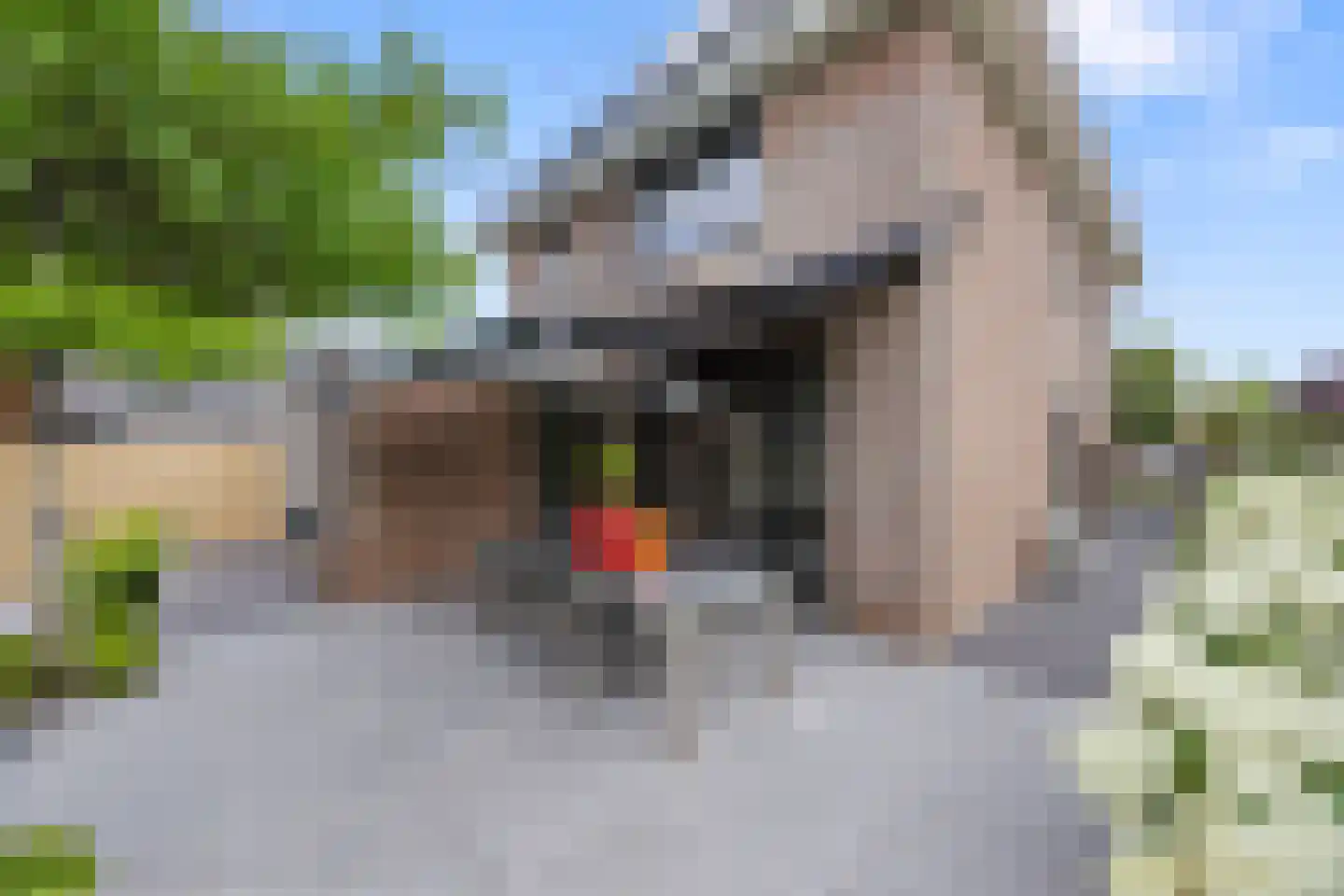 Polseweg 14 Huissen thumbnail 20