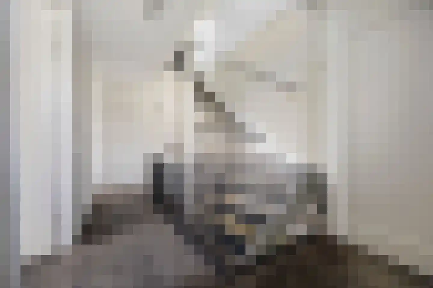 Polseweg 14 Huissen thumbnail 30