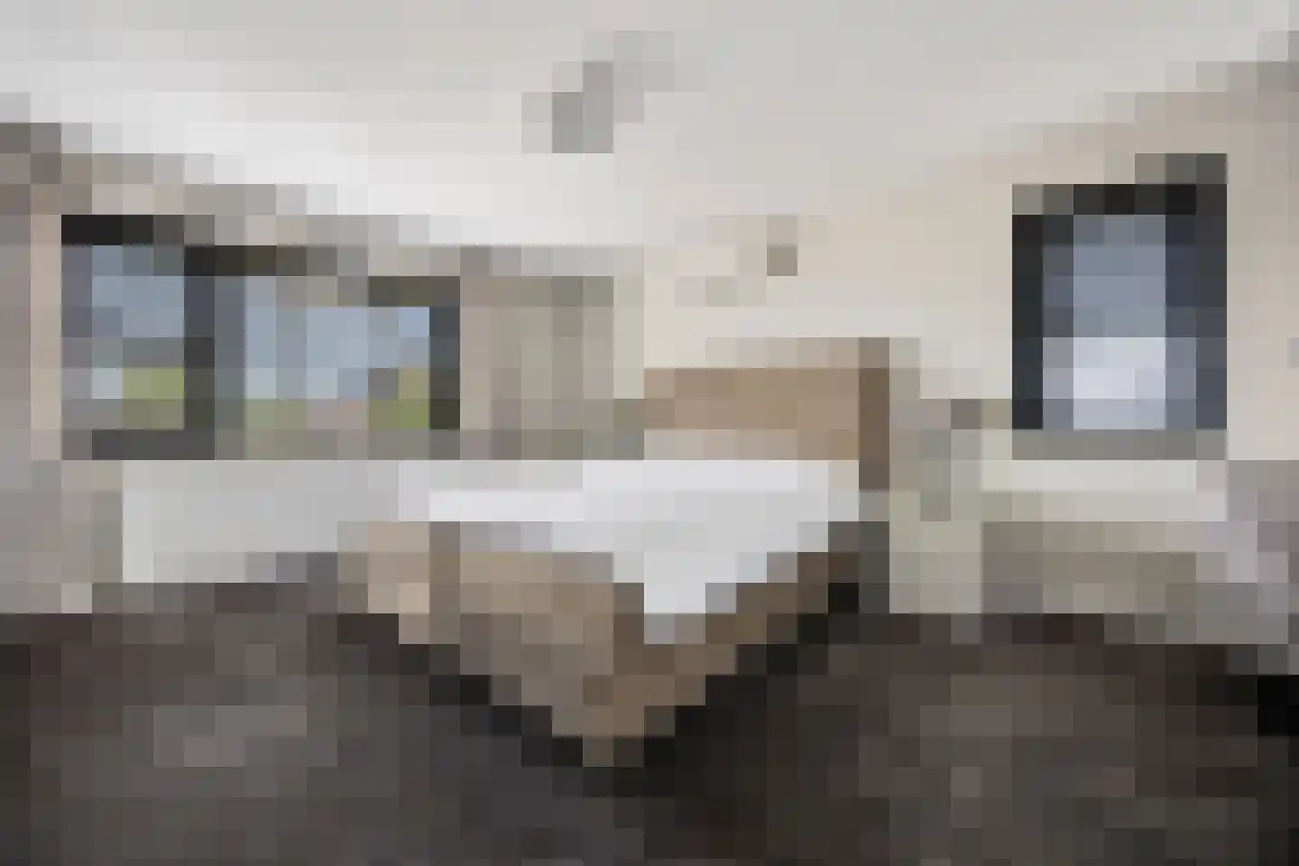 Polseweg 14 Huissen thumbnail 31