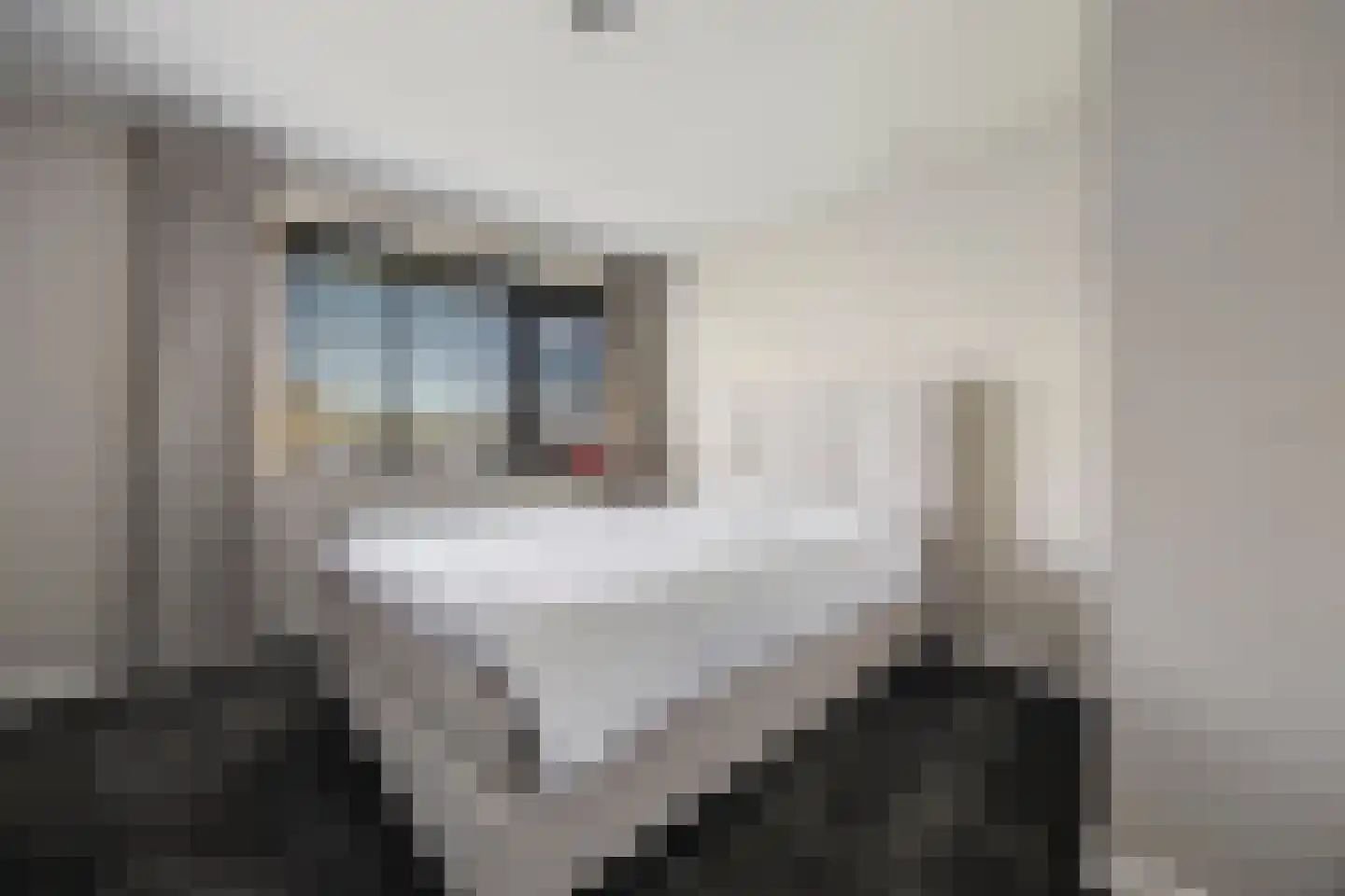 Polseweg 14 Huissen thumbnail 36