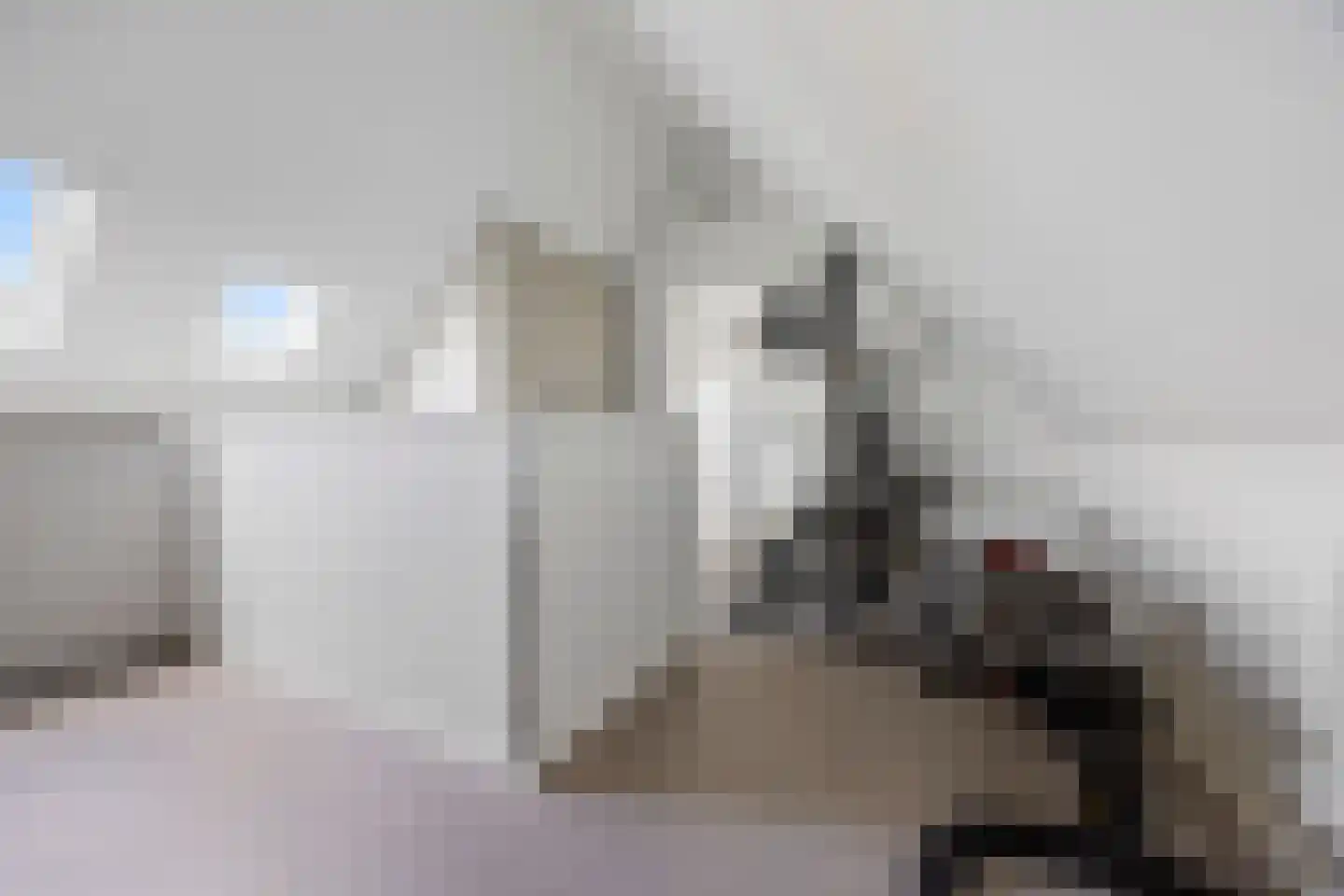 Polseweg 14 Huissen thumbnail 44