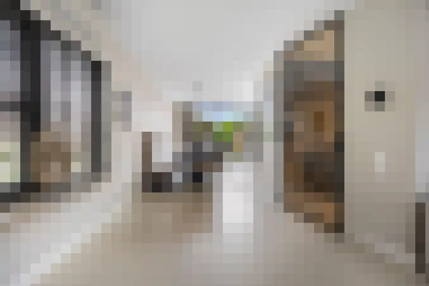 Polseweg 14 Huissen thumbnail 7