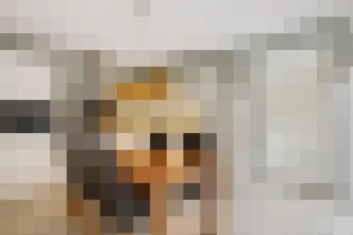 Polstraat 1 f Didam thumbnail 11